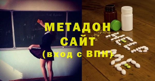 индика Елизово