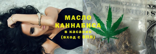 индика Елизово