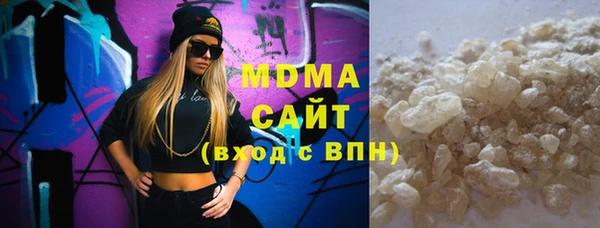 индика Елизово