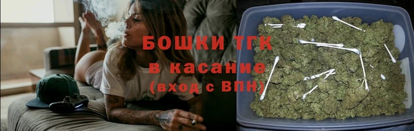 индика Елизово