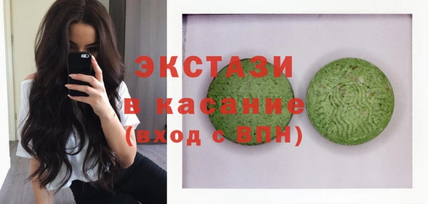 индика Елизово