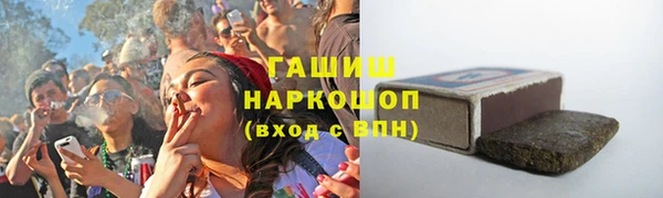 индика Елизово