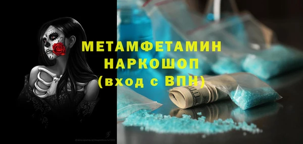 индика Елизово