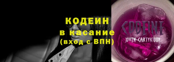 индика Елизово