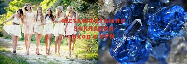 индика Елизово