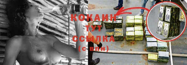 индика Елизово