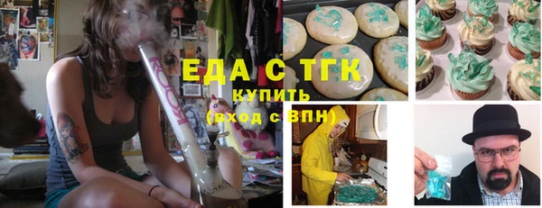 индика Елизово