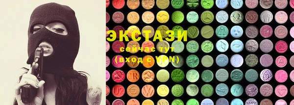 индика Елизово