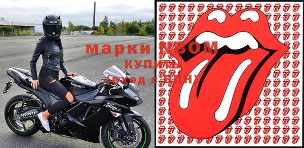 индика Елизово