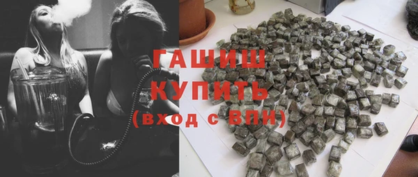 индика Елизово