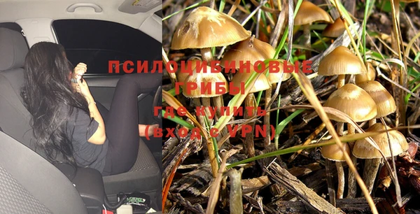 кристаллы Ельня