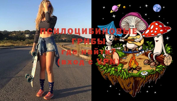 кристаллы Ельня
