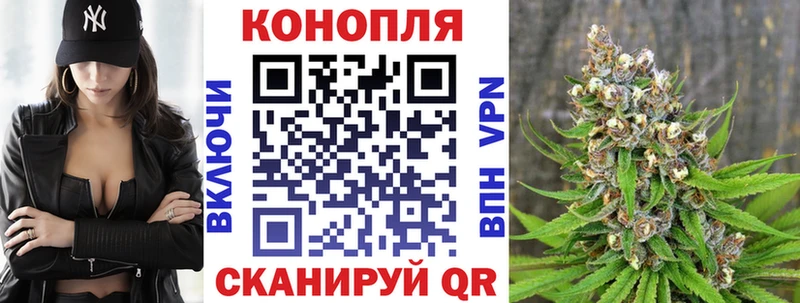 Бошки марихуана марихуана Острогожск